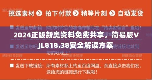 2024正版新奥资料免费共享，简易版VJL818.38安全解读方案