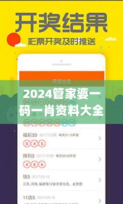 2024管家婆一码一肖资料大全，钻石版VIG221.69安全评估攻略