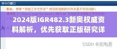 2024版IGR482.3新奥权威资料解析，优先获取正版研究详述