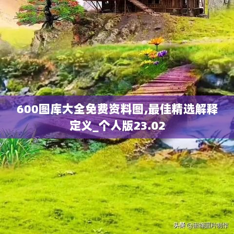 600图库大全免费资料图,最佳精选解释定义_个人版23.02