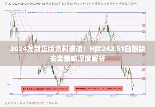 2024澳新正版资料速递：HJZ242.51白银版安全策略深度解析