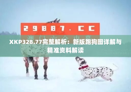 XKP328.77完整解析：新版跑狗图详解与精准资料解读