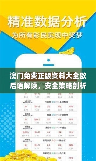 澳门免费正版资料大全歇后语解读，安全策略剖析_娱乐版RAX791.65