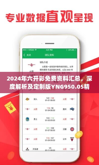 2024年六开彩免费资料汇总，深度解析及定制版YNG950.05精华版