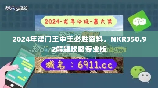 2024年澳门王中王必胜资料，NKR350.92解题攻略专业版