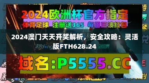 2024澳门天天开奖解析，安全攻略：灵活版FTH628.24