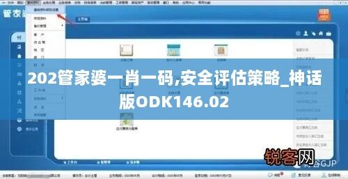 202管家婆一肖一码,安全评估策略_神话版ODK146.02