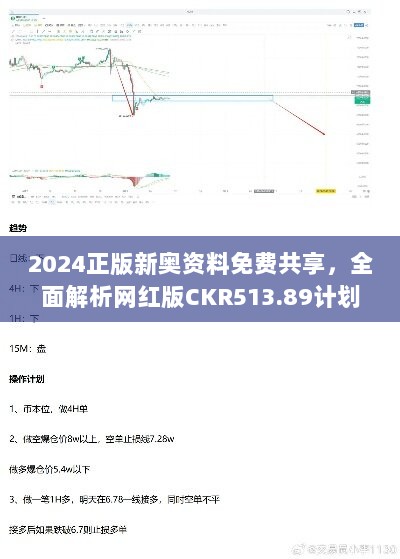 2024正版新奥资料免费共享，全面解析网红版CKR513.89计划