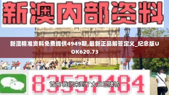 新澳精准资料免费提供4949期,最新正品解答定义_纪念版UOK620.73