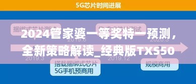 2024管家婆一等奖特一预测，全新策略解读_经典版TXS505.24