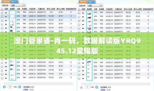 澳门管家婆-肖一码，数据解读版YRQ945.12星耀版