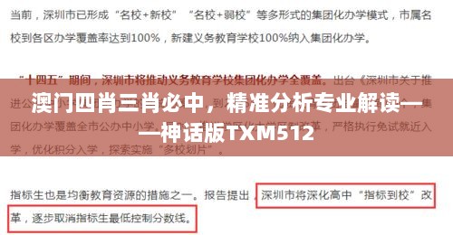 澳门四肖三肖必中，精准分析专业解读——神话版TXM512