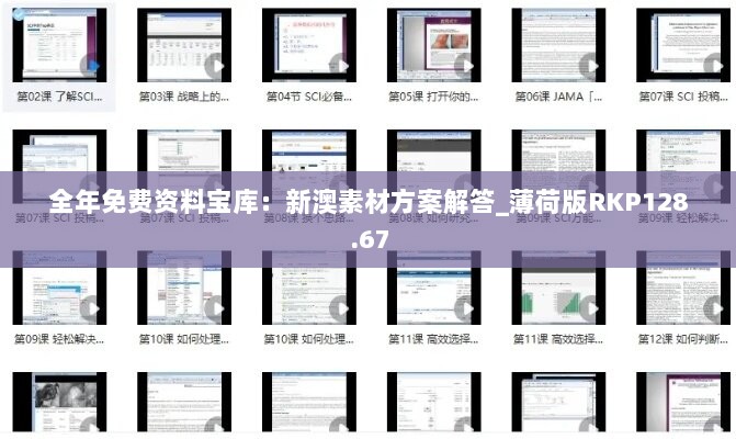 全年免费资料宝库：新澳素材方案解答_薄荷版RKP128.67