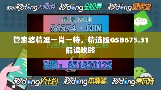 管家婆精准一肖一特，精选版GSB675.31解读攻略