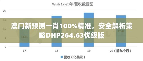 澳门新预测一肖100%精准，安全解析策略DHP264.63优级版