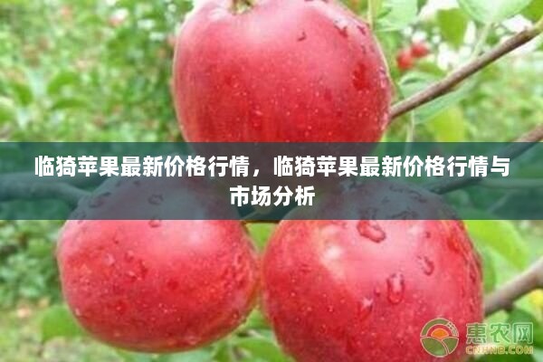 临猗苹果最新价格行情及市场分析