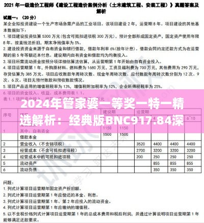 2024年管家婆一等奖一特一精选解析：经典版BNC917.84深度解读