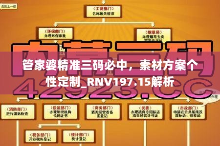 管家婆精准三码必中，素材方案个性定制_RNV197.15解析