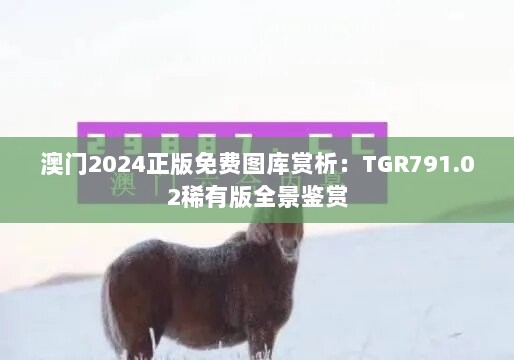 澳门2024正版免费图库赏析：TGR791.02稀有版全景鉴赏