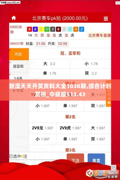 新澳天天开奖资料大全1038期,综合计划赏析_中级版513.43