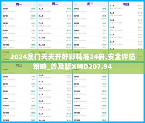 2024澳门天天开好彩精准24码,安全评估策略_普及版XMD207.94