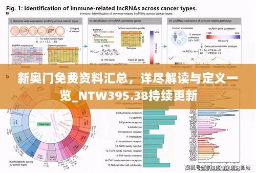 新奥门免费资料汇总，详尽解读与定义一览_NTW395.38持续更新