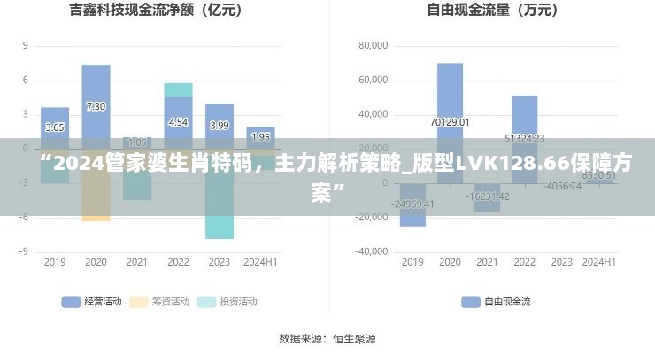 “2024管家婆生肖特码，主力解析策略_版型LVK128.66保障方案”