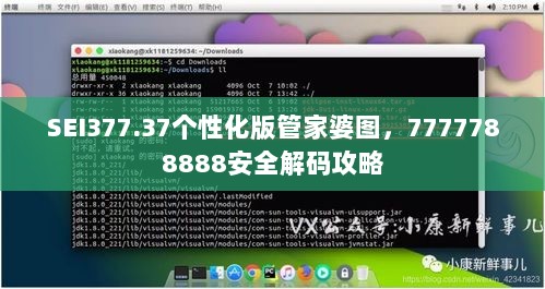 SEI377.37个性化版管家婆图，7777788888安全解码攻略