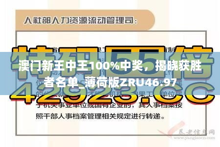 澳门新王中王100%中奖，揭晓获胜者名单_薄荷版ZRU46.97