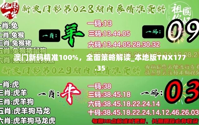 澳门新码精准100%，全面策略解读_本地版TNX177.35