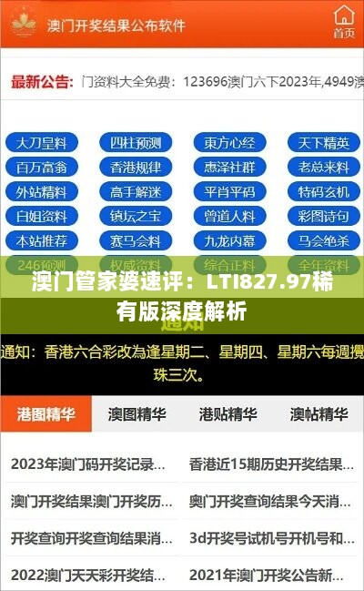 澳门管家婆速评：LTI827.97稀有版深度解析