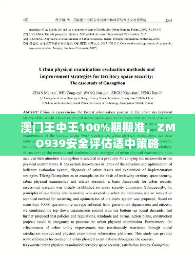 澳门王中王100%期期准，ZMO939安全评估适中策略