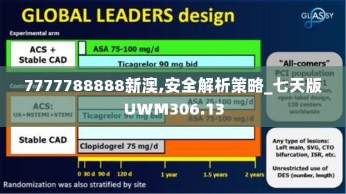 7777788888新澳,安全解析策略_七天版UWM306.13