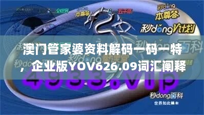 澳门管家婆资料解码一码一特，企业版YOV626.09词汇阐释