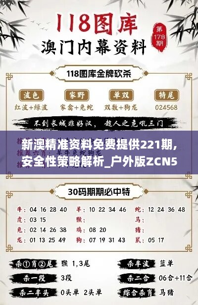 新澳精准资料免费提供221期,安全性策略解析_户外版ZCN546.25