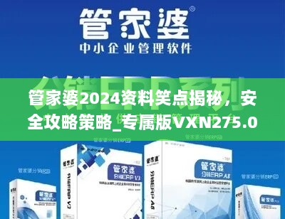 管家婆2024资料笑点揭秘，安全攻略策略_专属版VXN275.07