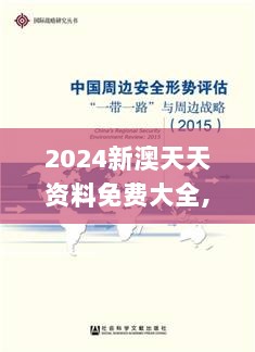 2024新澳天天资料免费大全,安全策略评估方案_精华版OGS870.63