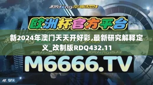 新2024年澳门天天开好彩,最新研究解释定义_改制版RDQ432.11