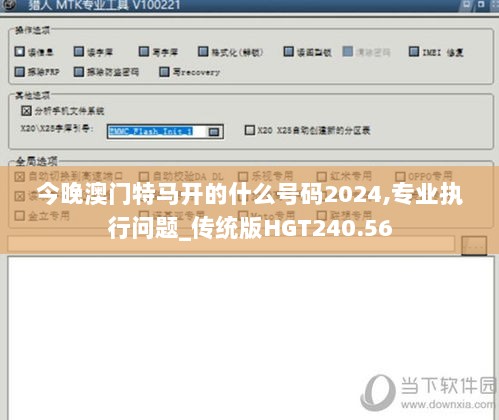今晚澳门特马开的什么号码2024,专业执行问题_传统版HGT240.56