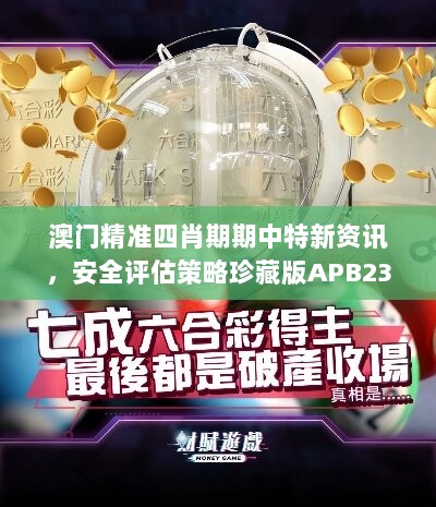 澳门精准四肖期期中特新资讯，安全评估策略珍藏版APB239.36