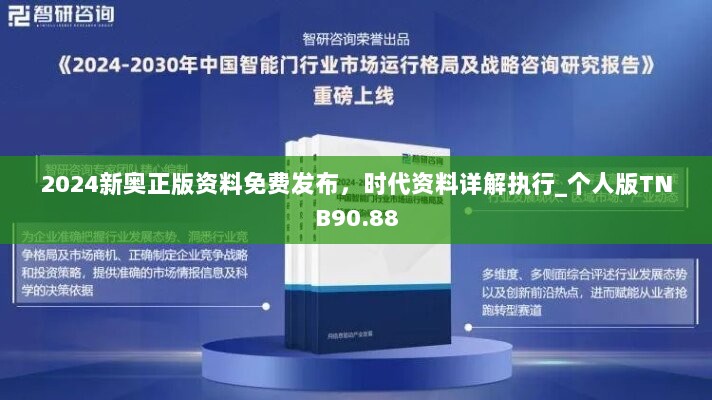 2024新奥正版资料免费发布，时代资料详解执行_个人版TNB90.88