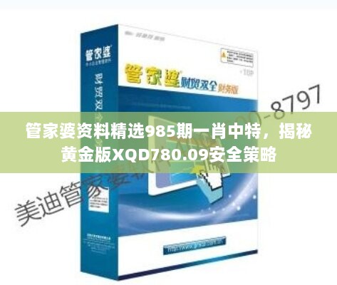 管家婆资料精选985期一肖中特，揭秘黄金版XQD780.09安全策略