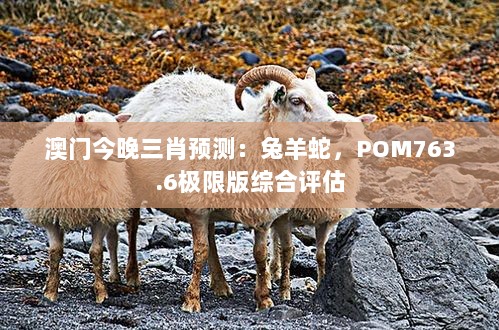 澳门今晚三肖预测：兔羊蛇，POM763.6极限版综合评估