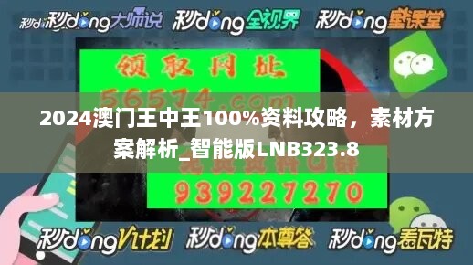 2024澳门王中王100%资料攻略，素材方案解析_智能版LNB323.8