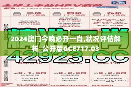 2024澳门今晚必开一肖,状况评估解析_公开版GCE717.03