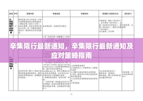 辛集限行最新通知及应对策略指南