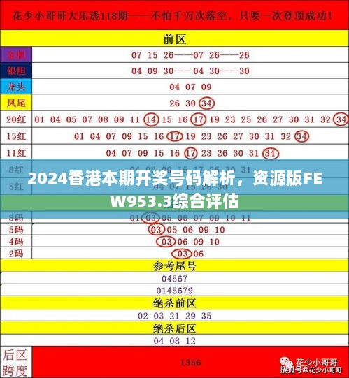 2024香港本期开奖号码解析，资源版FEW953.3综合评估