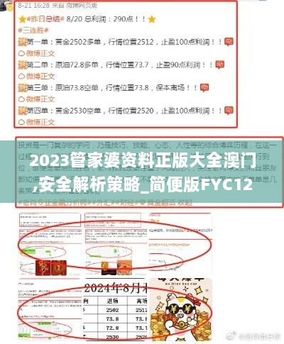 2023管家婆资料正版大全澳门,安全解析策略_简便版FYC12.4