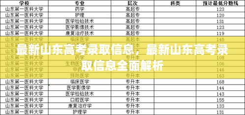 最新山东高考录取信息全面解析