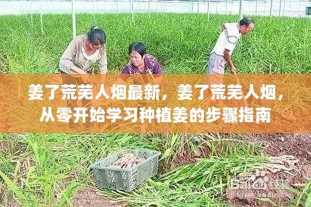 从零开始，荒芜人烟的姜种植步骤指南